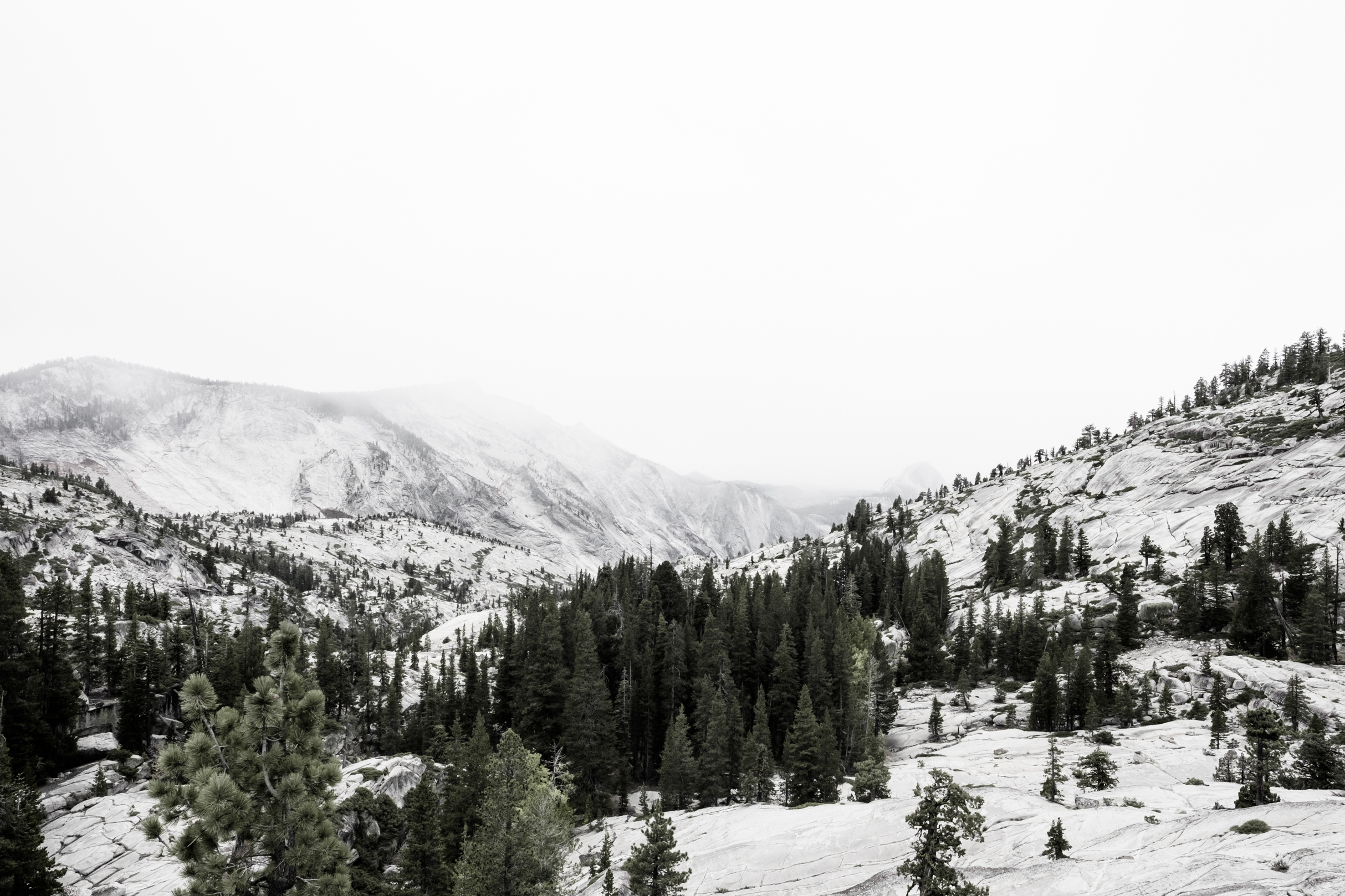 10. Yosemite (39 von 46)