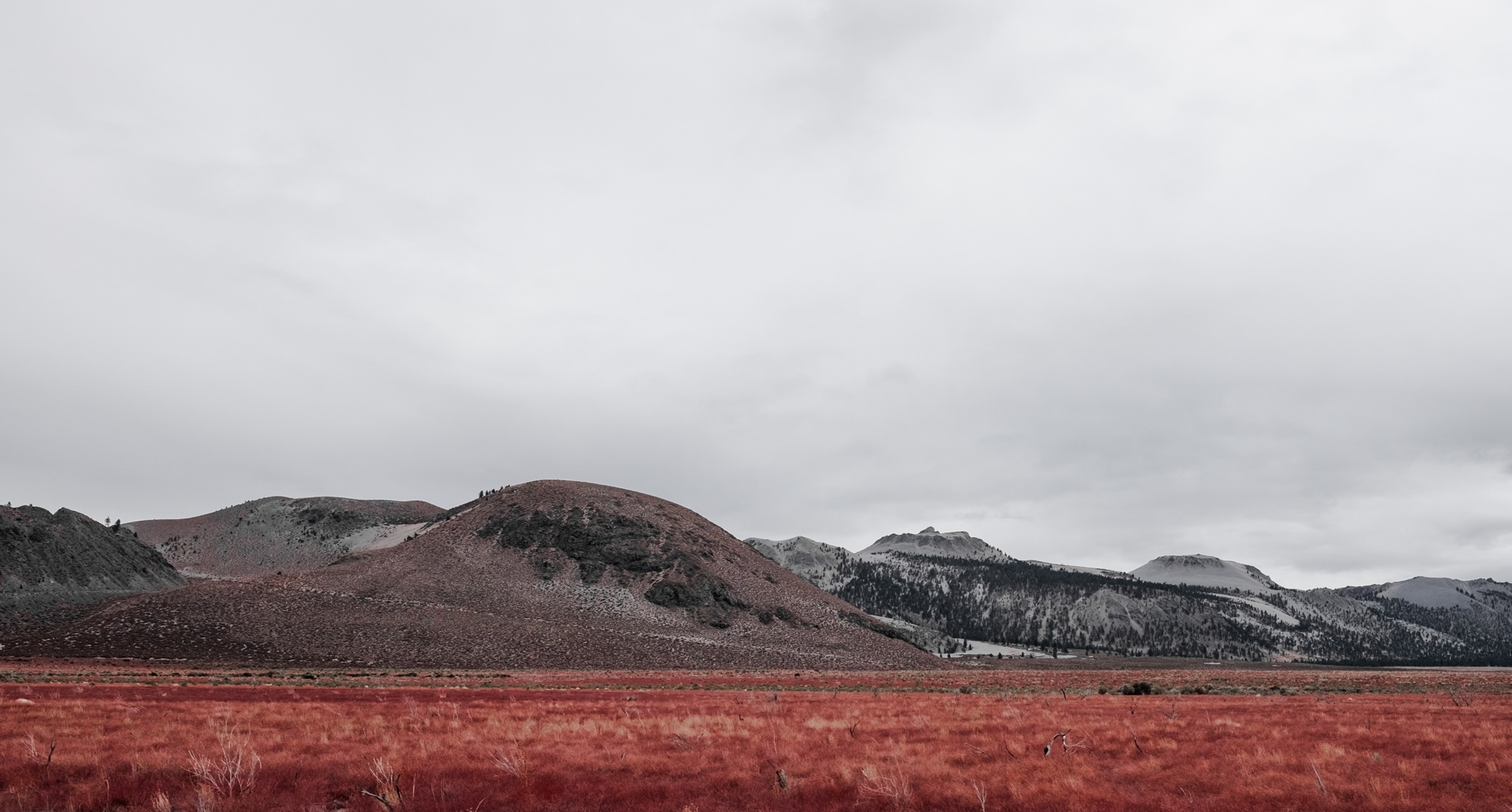 11. Mono Lake (4 von 14)