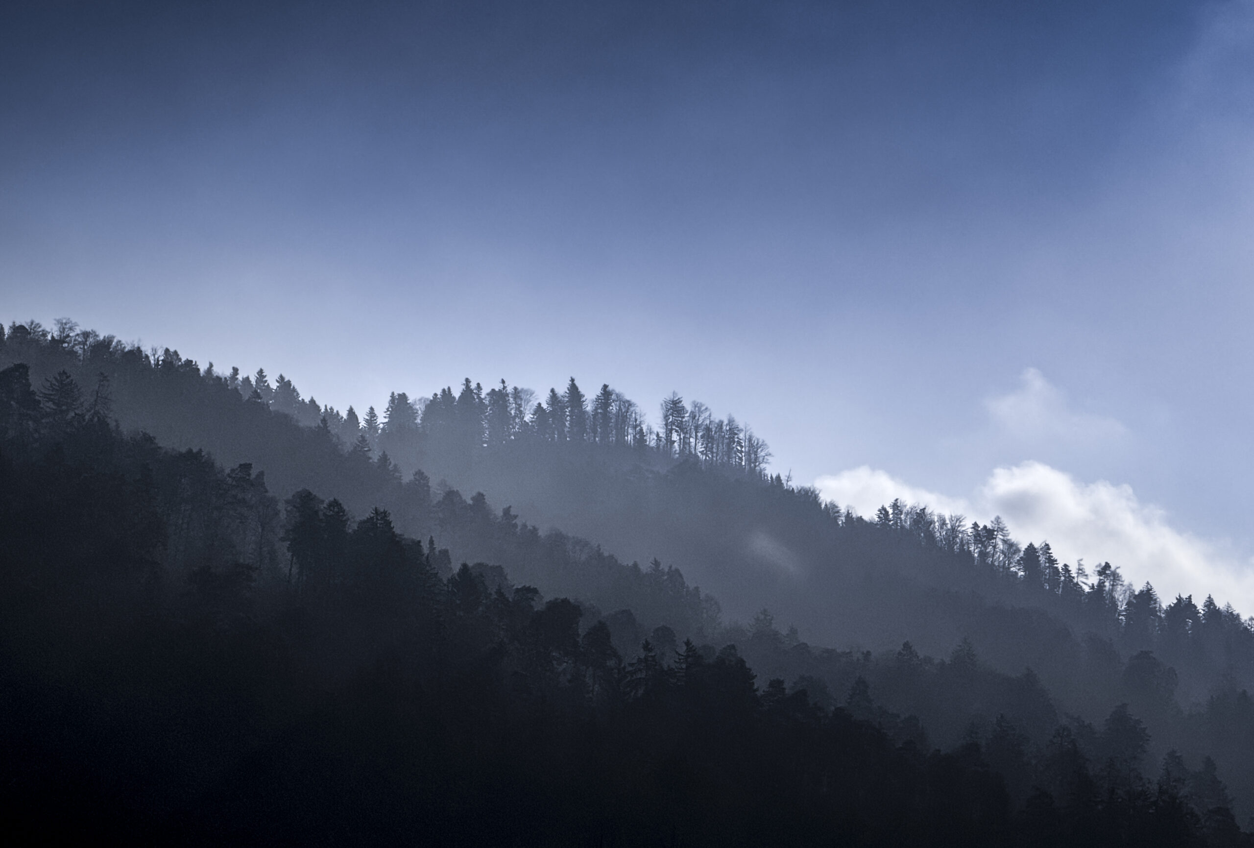 250329 Chamonix-9