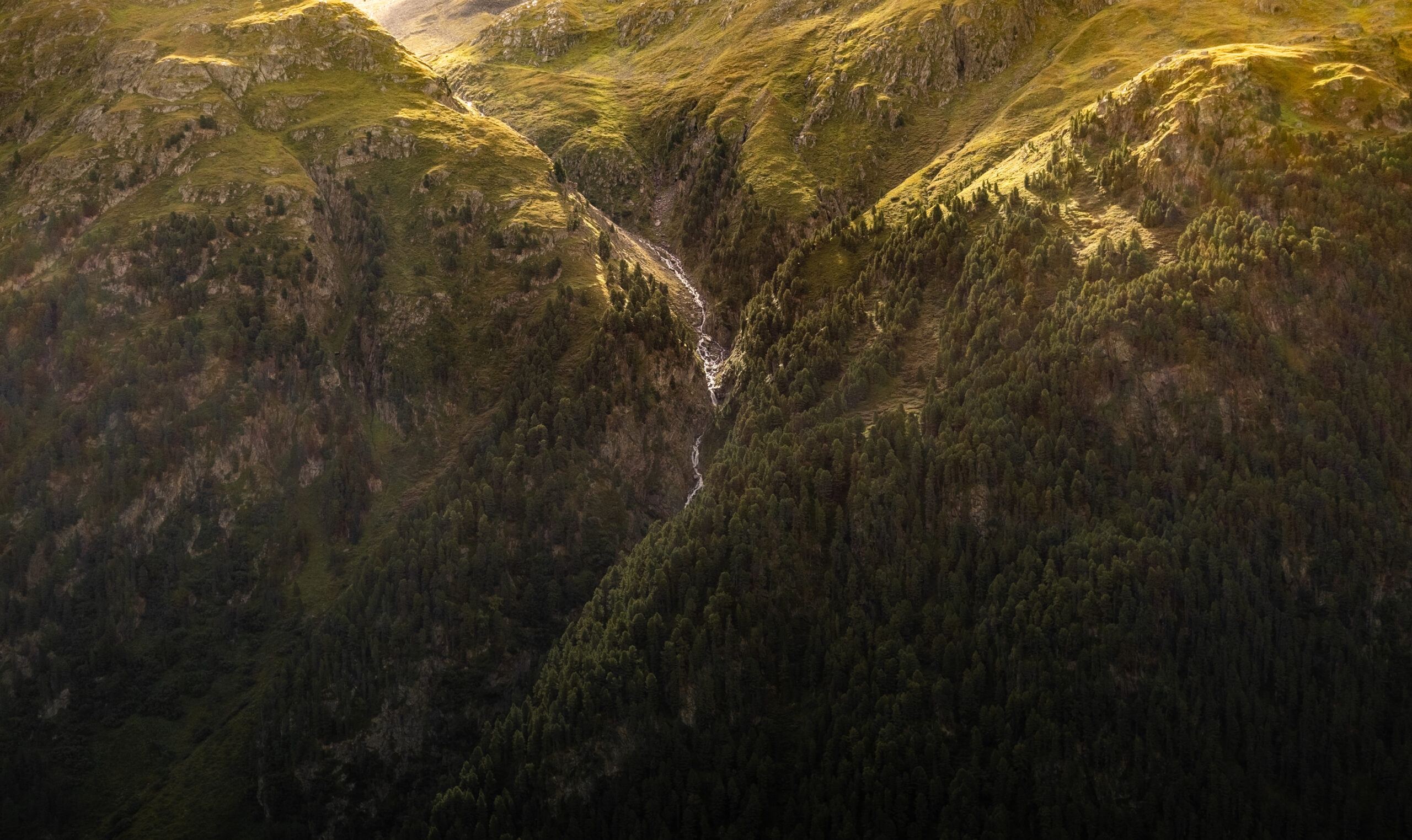 Lena Österreich Herbst 2024-87